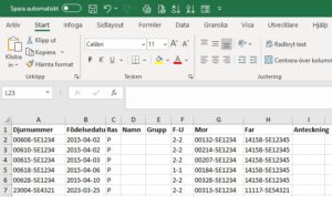 Ett excel-schema som visar hur det kan se ut i Elitlamm