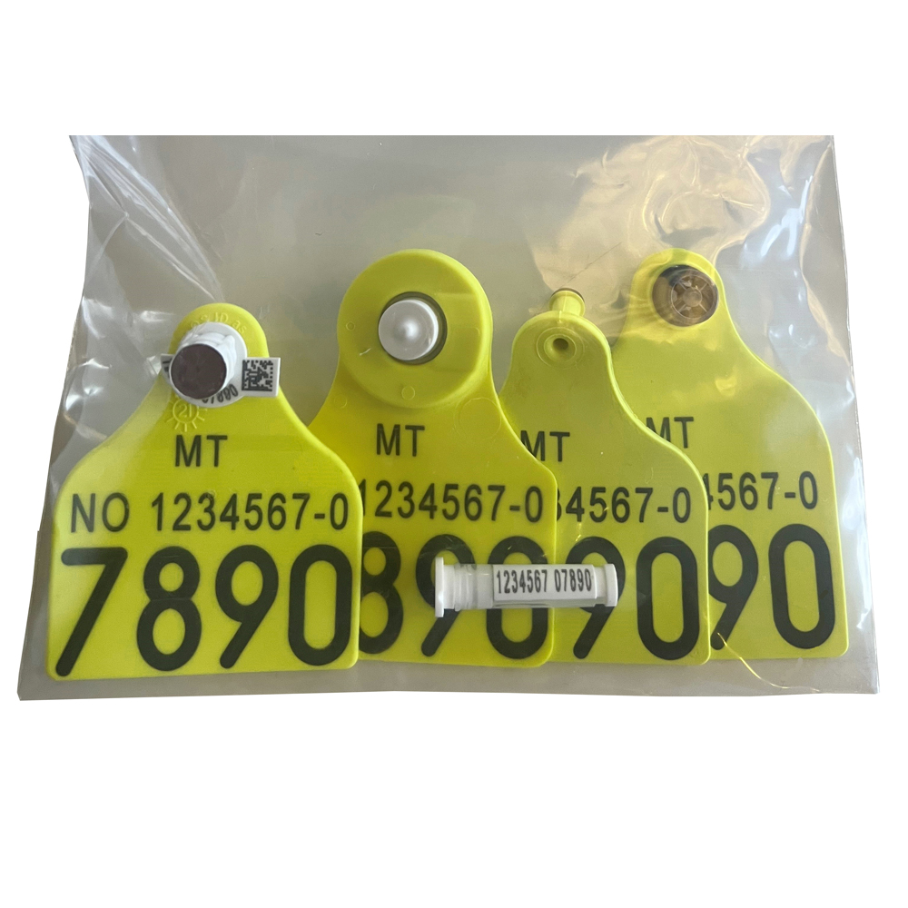 Påsetting av Offisielt elektronisk GSmerke Stor