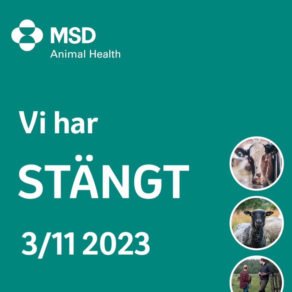 Vi har stängt, 3 november 2023